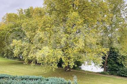 Wohnung Aschaffenburg Österreicher Kolonie - 2.5 Zimmer, 108 m&sup2;, 1.300&euro; | Angebot:25026398