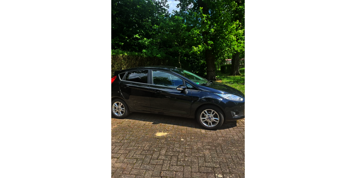 Ford Fiesta 144.000 km 7.500 &euro; Spreckel 49453