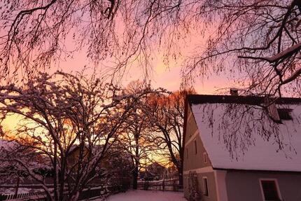 Haus Mühlhausen - 9 Zimmer, 520 m&sup2;, 950.000&euro; | Angebot:23683070