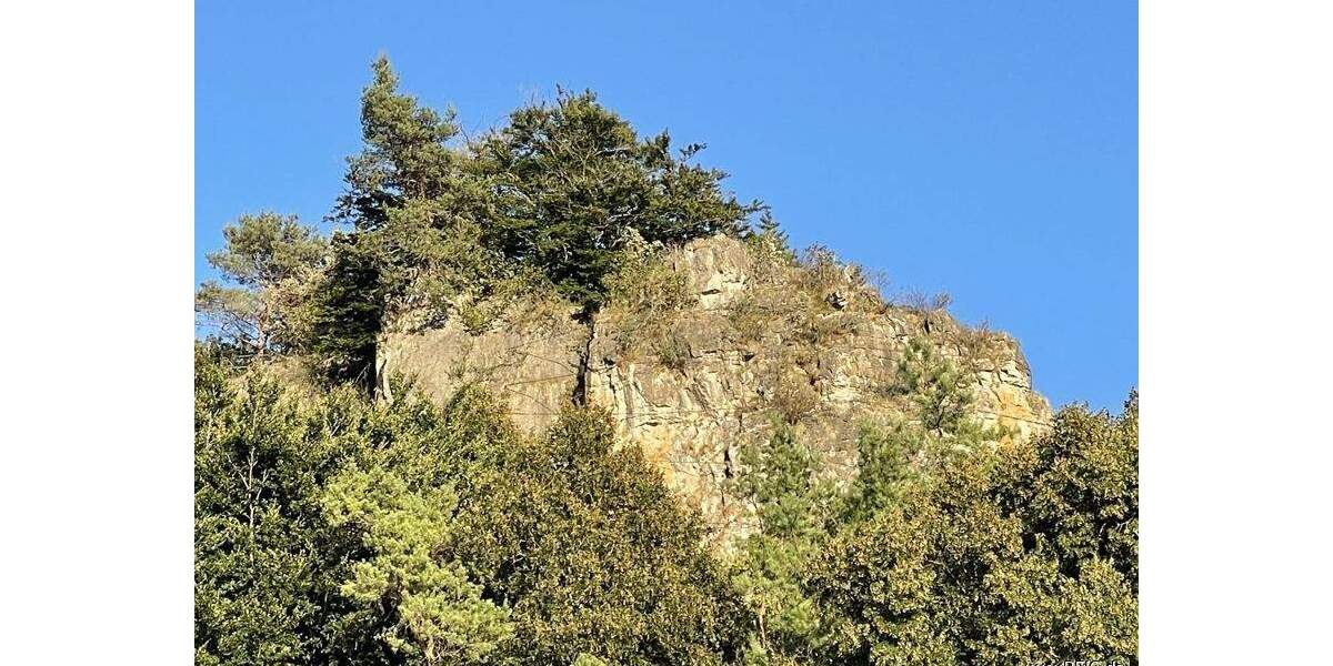 Gewerbeobjekt Gerolstein Müllenborn - 1.050.000&euro; | Angebot:25780090