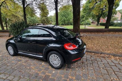 VW Beetle 115.000 km 10.500 € Duisburg 47139