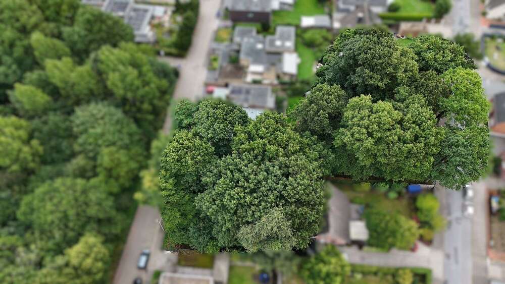 Grundstück Emsdetten - 313.000&euro; | Angebot:22451571