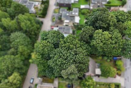 Grundstück zu verkaufen in Emsdetten 313.000 € 679 m² zimmer