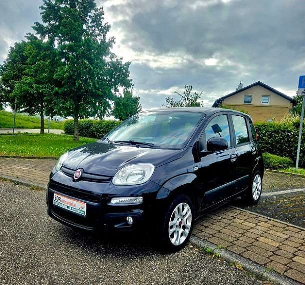 Panda