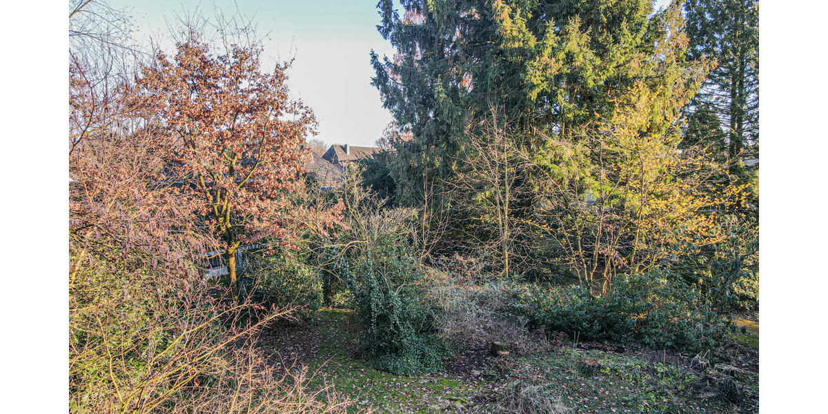 Ganderkesee Großzügiges Baugrundstück für 4 Wohneinheiten in begehrter Wohnlage - Grundstück Ganderkesee | Angebot:26262589