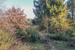 Ganderkesee Großzügiges Baugrundstück für 4 Wohneinheiten in begehrter Wohnlage - Grundstück Ganderkesee | Angebot:26262589