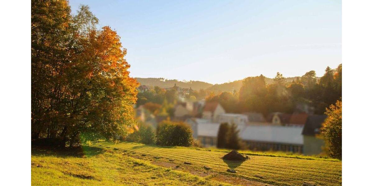 Grundstück Sebnitz - 30.000&euro; | Angebot:26789889