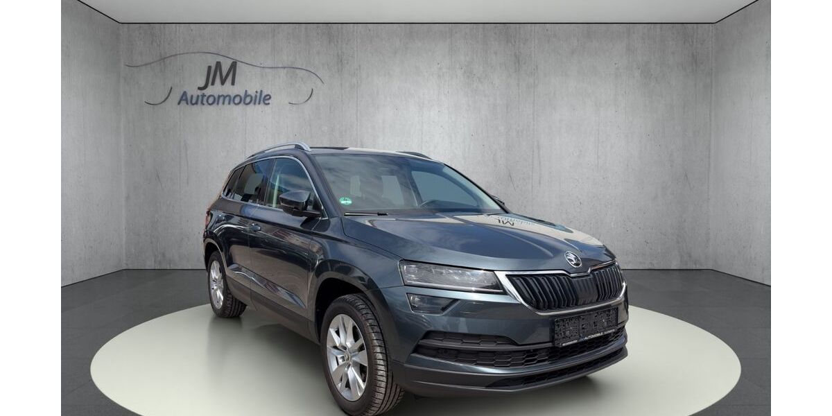 Skoda Karoq 141.000 km 18.990 &euro; Meckenbeuren 88074