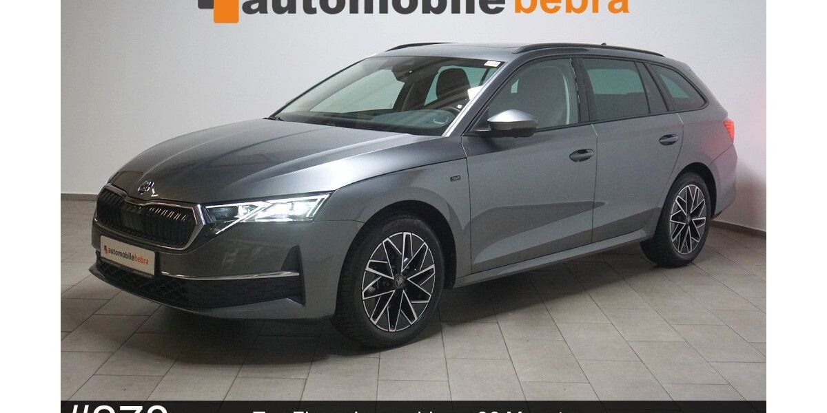 Skoda Octavia 22.942 km 29.990 &euro; Bebra 36179