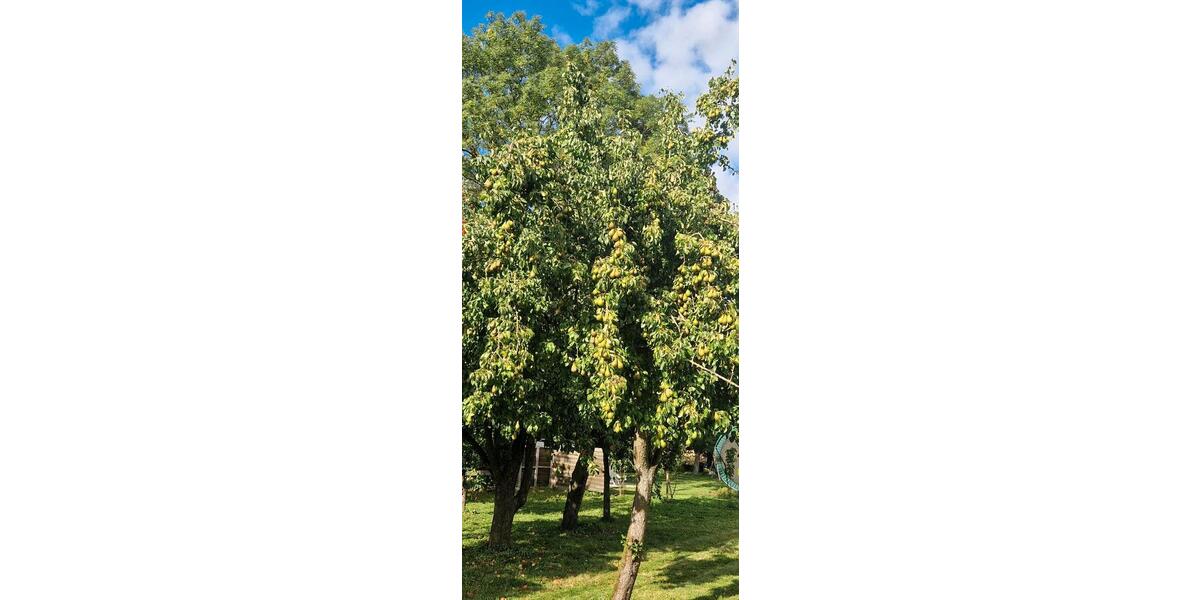 Einfamilienhaus Stockelsdorf - 5 Zimmer, 175 m&sup2;, 310.000&euro; | Angebot:26503503