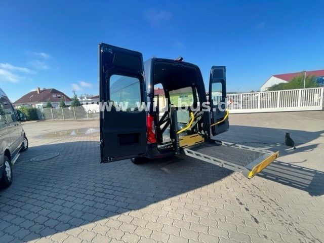 Sprinter