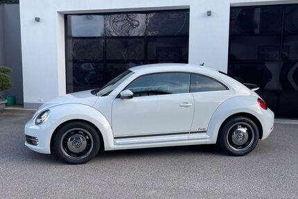 VW Beetle