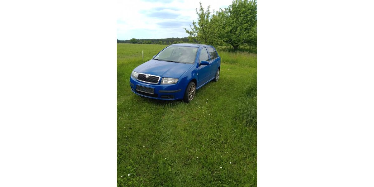 Skoda Fabia 164.000 km 1.500 &euro; Hohenleipisch 04934