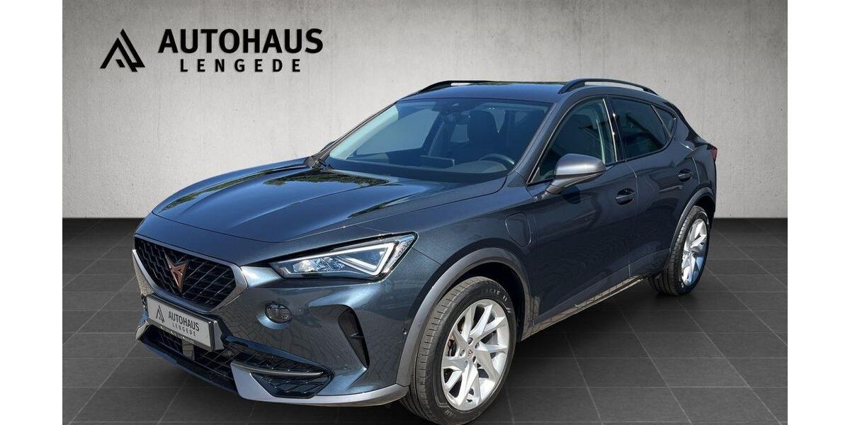Cupra Formentor 74.400 km 19.999 &euro; Lengede 38268