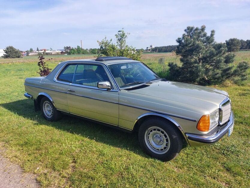CE 230