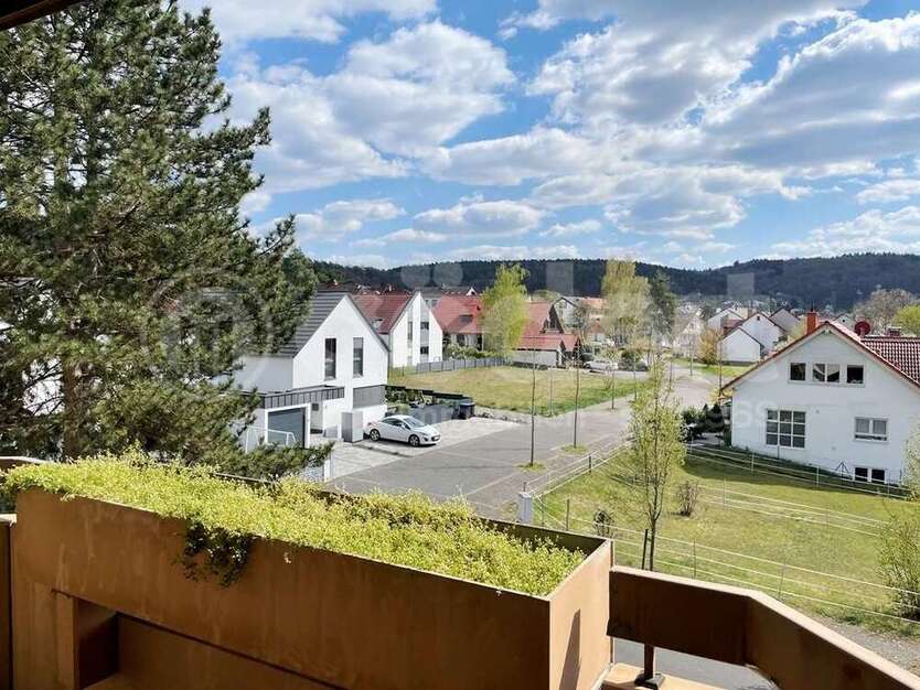 Wohnung zum Mieten in Erlenbach am Main 550 € 55 m²