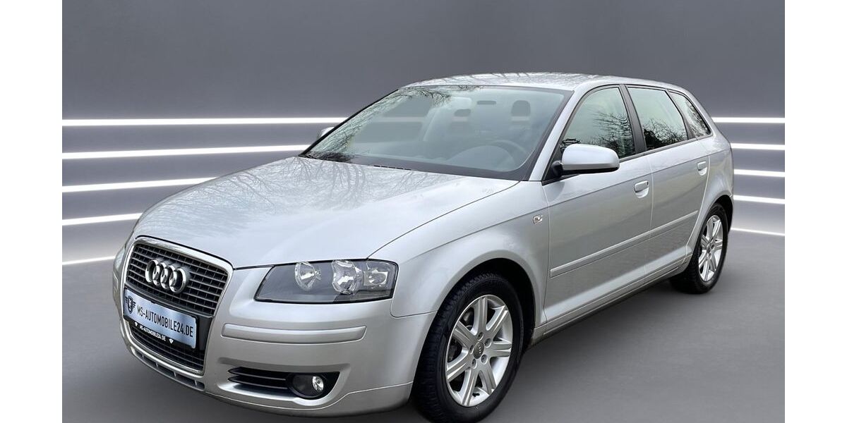 Audi A3 113.450 km 5.900 &euro; Brand-Erbisdorf 09618