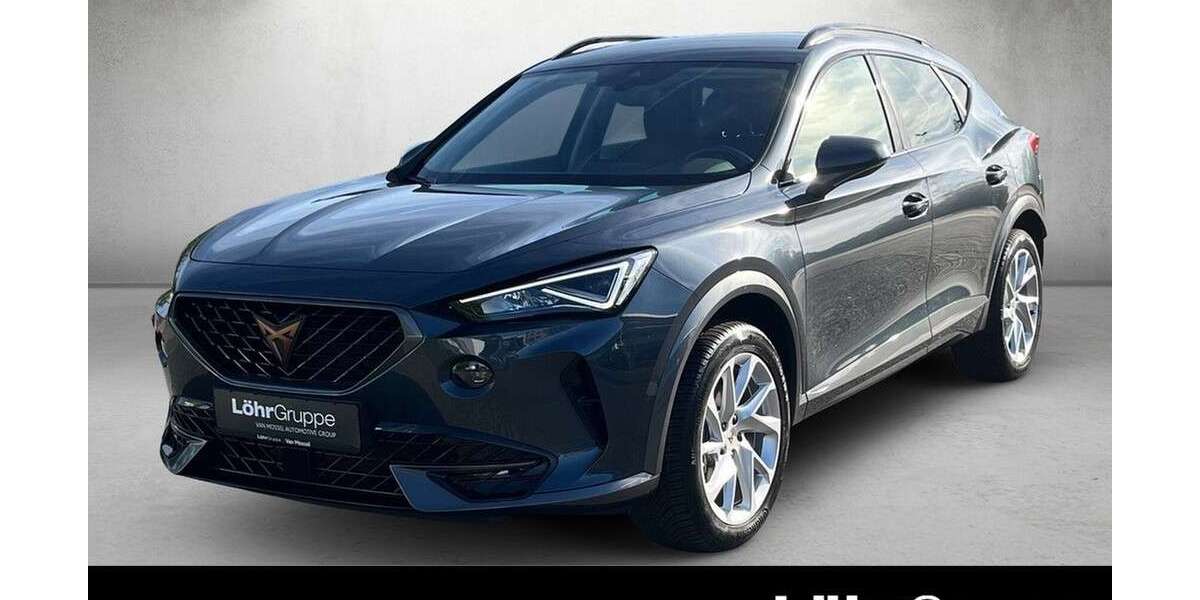 Cupra Formentor 17.510 km 24.330 &euro; Mainz 55120