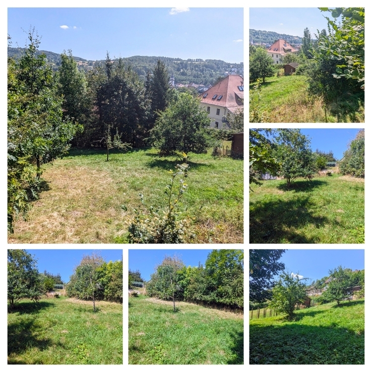 Baugrundstück in ruhiger Lage mit herrlicher Aussicht in Steinbach-Hallenberg! zimmer