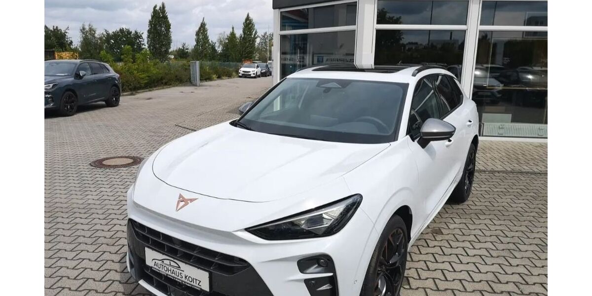 Cupra Terramar 5.000 km 46.725 &euro; Cottbus 03051