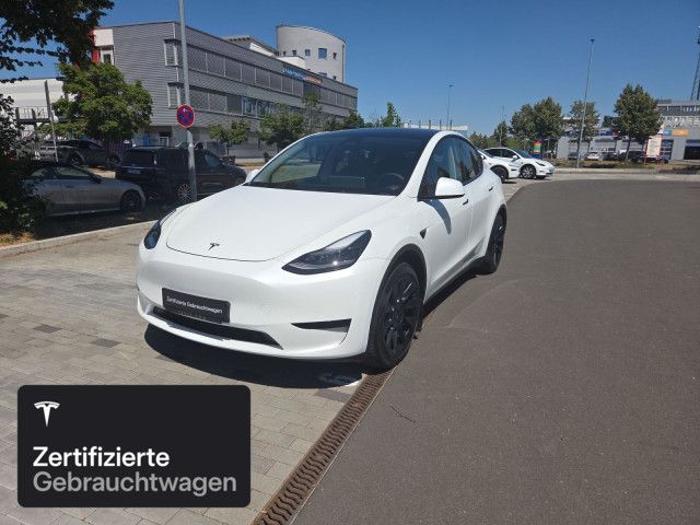 Model Y