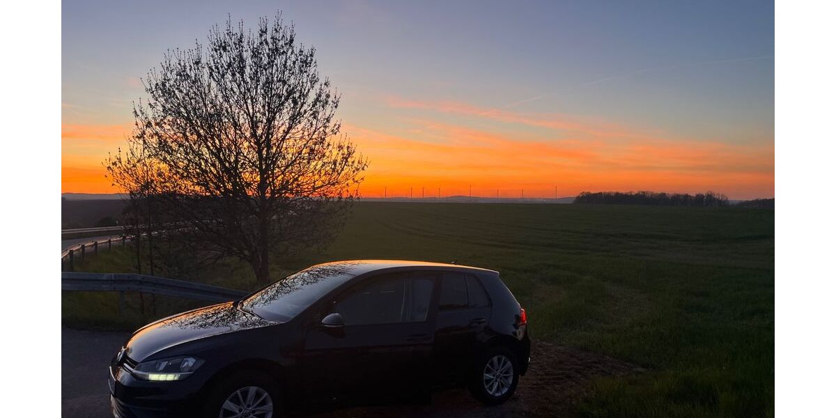 VW Golf 99.988 km 10.600 &euro; Crimmitschau 08451