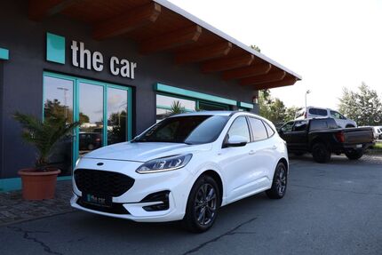 Ford Kuga 69.998 km 19.990 &euro; Riesa 01587