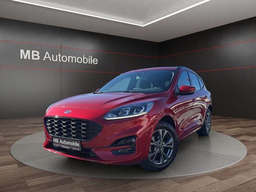 Kuga