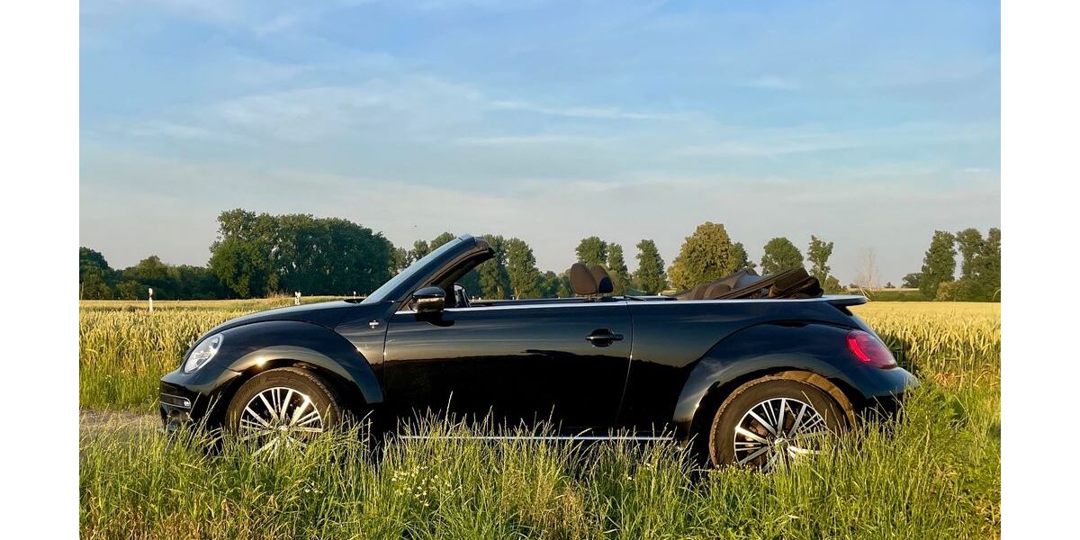 VW Beetle 95.000 km 17.000 &euro; Elsdorf 50189