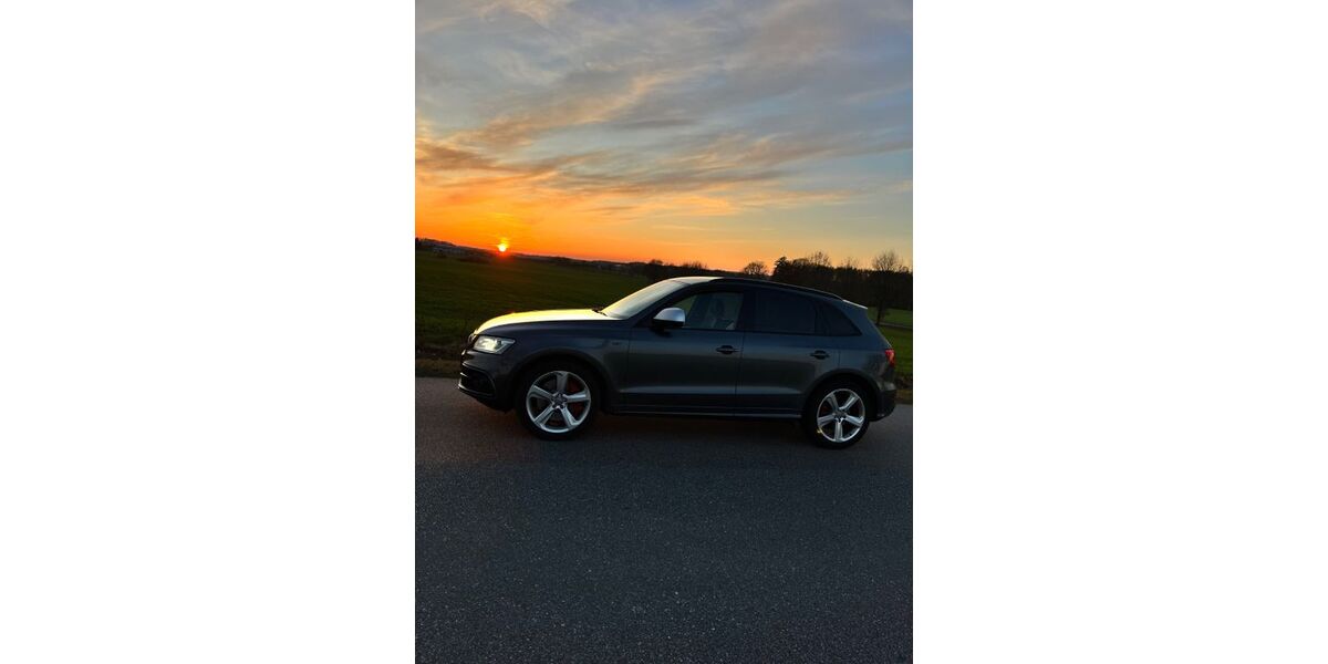 Audi SQ5 209.000 km 18.000 &euro; Leizen 17209