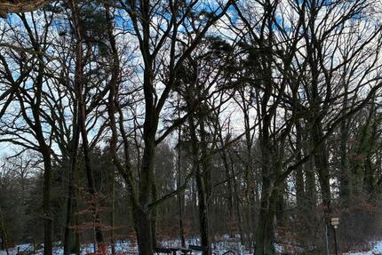 Grundstück Klötze - 15.000&euro; | Angebot:24832010