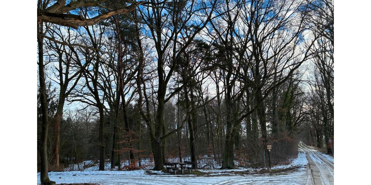 Grundstück Klötze - 15.000&euro; | Angebot:24832010