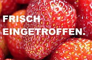 VW T-Roc 10.382 km 24.999 &euro; Bad Doberan 18209