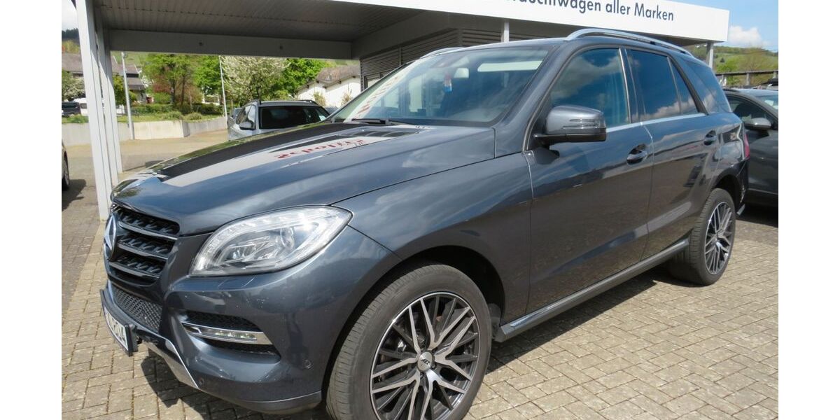 Mercedes-Benz ML 350 134.500 km 24.980 &euro; Mehring 54346