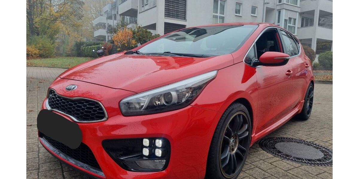Kia ceed / Ceed 178.000 km 7.900 &euro; Wiesbaden 65187