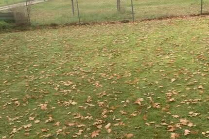 5 Zimmer Wohnung am Rothsee mit großem Grundstück 5 zimmer