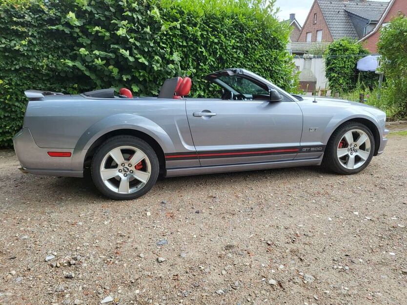 Mustang