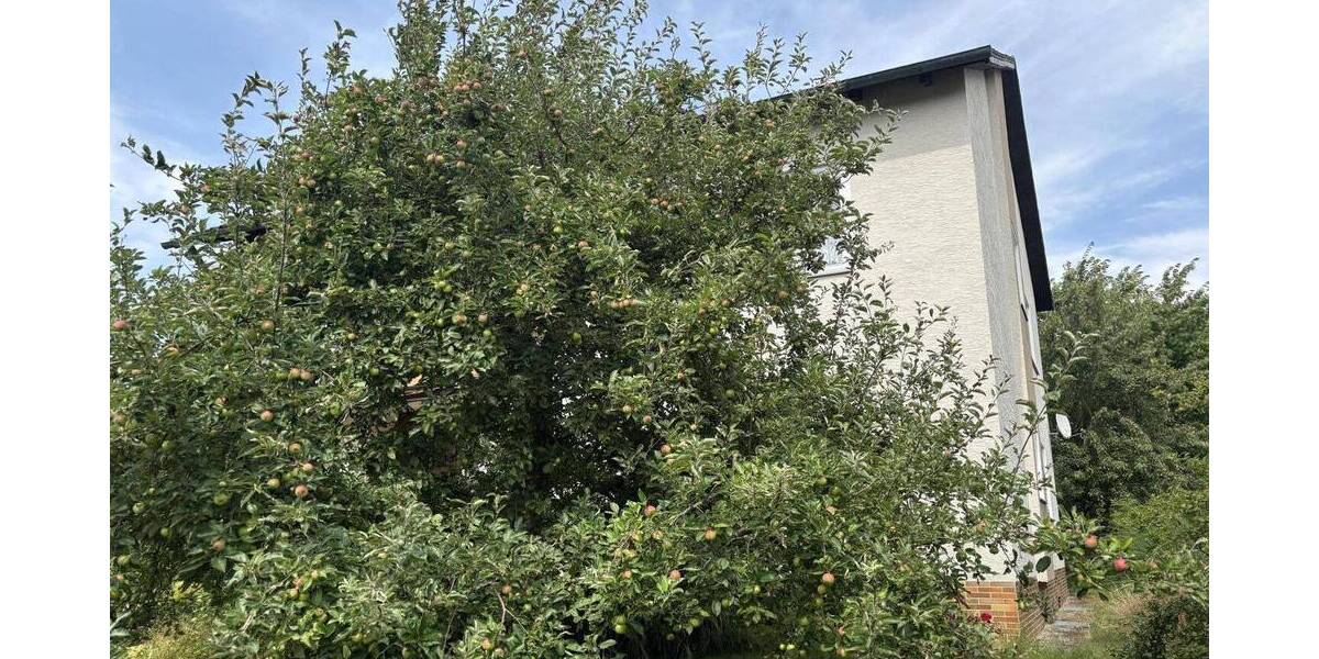 Mehrfamilienhaus, Wohnhaus Pfreimd - 7 Zimmer, 200 m&sup2;, 398.000&euro; | Angebot:25731600