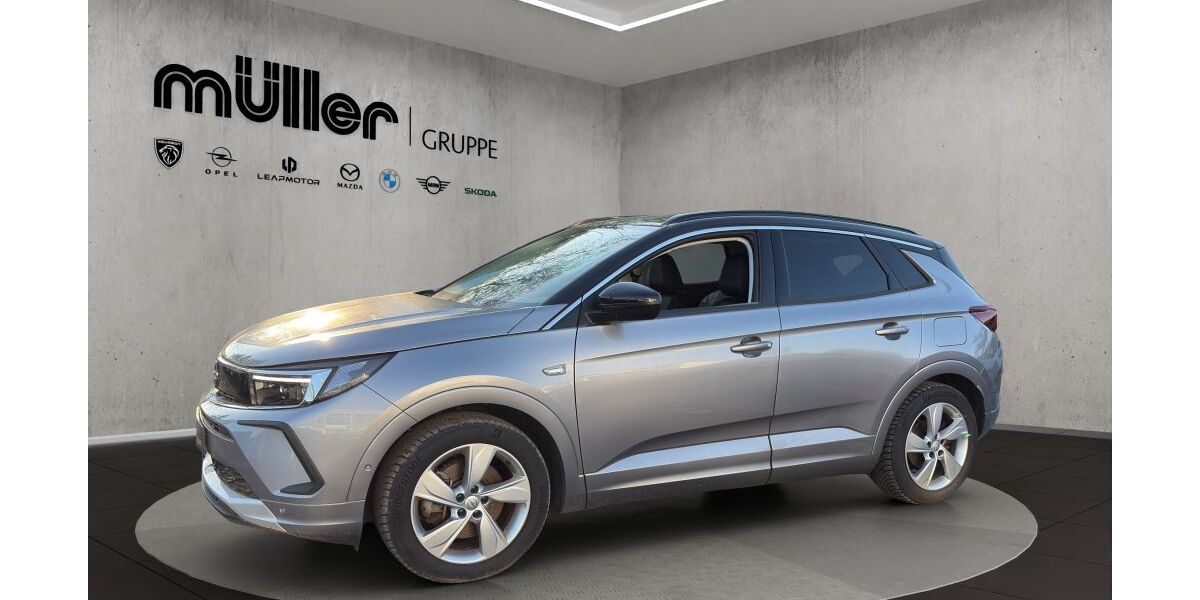 Opel Grandland (X) 68.800 km 22.990 &euro; Trier 54292