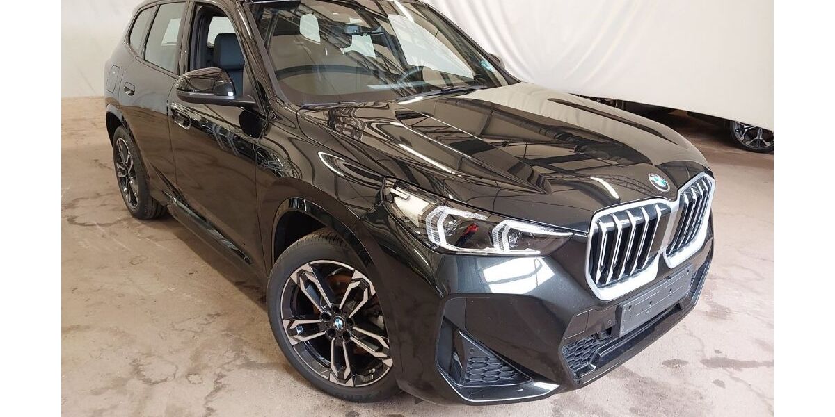 BMW X1 26.100 km 42.375 &euro; Pleisweiler-Oberhofen 76889