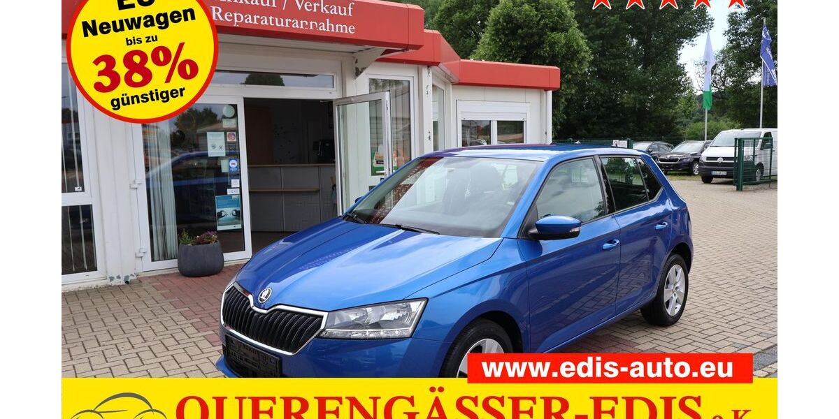 Skoda Fabia 27.050 km 9.990 &euro; Berga-Wünschendorf 07980