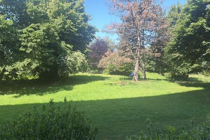 Wohnung Krefeld Gartenstadt - 3 Zimmer, 77 m&sup2;, 925&euro; | Angebot:26676642