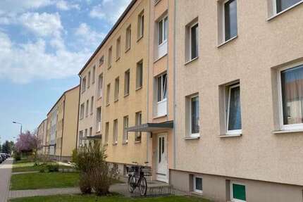 Wohnung zum Mieten in Schwedt 365 € 58.4 m² 3 zimmer