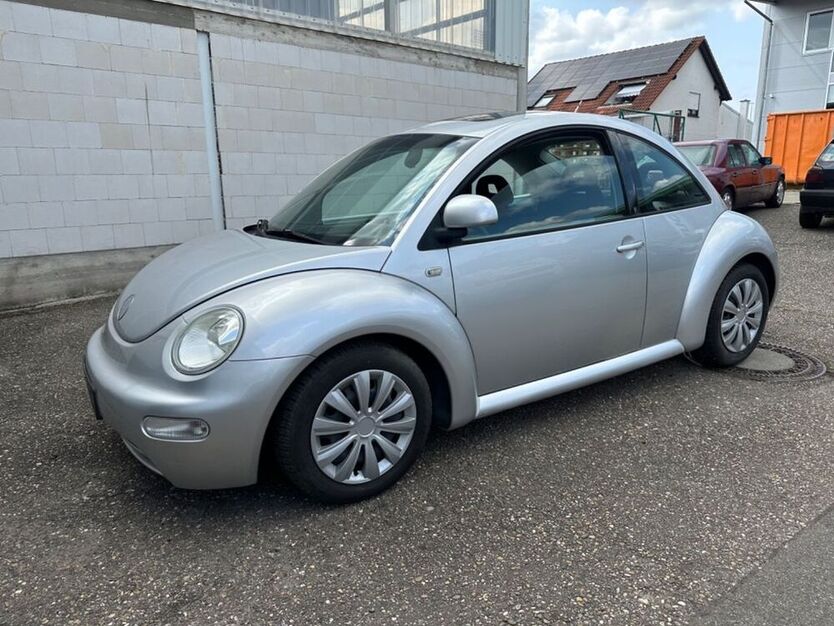 Beetle