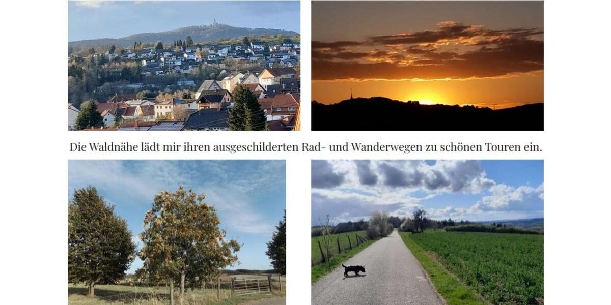 Ferienimmobilie Oberthal - 80&euro; | Angebot:26705156