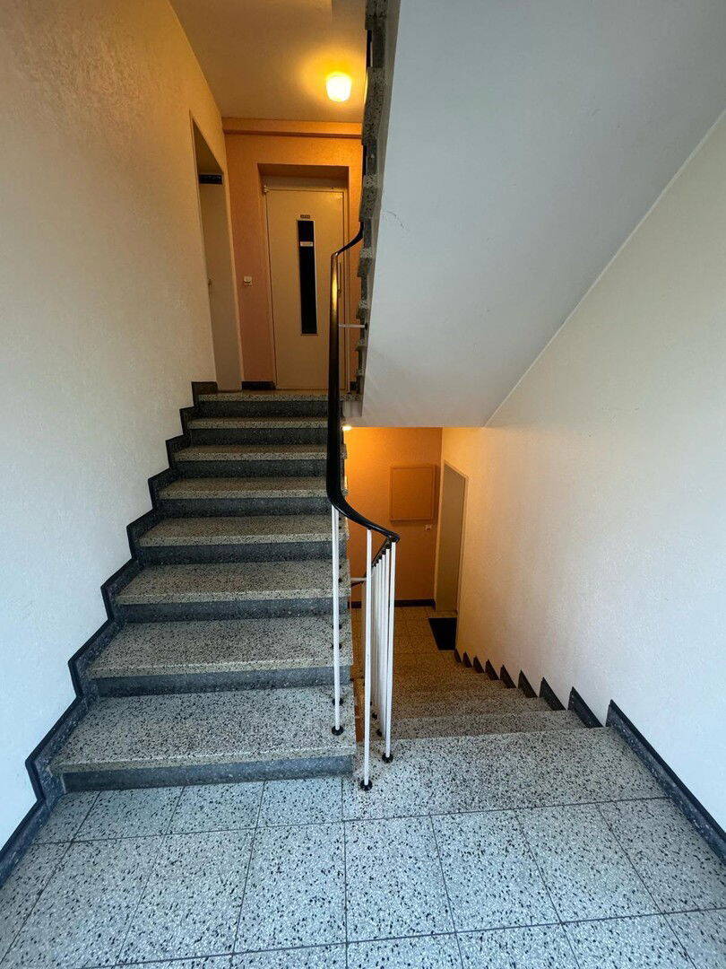 **Helle & frisch renovierte 2,5-Zimmer-Wohnung - mit Balkon & Aufzug** 2 zimmer