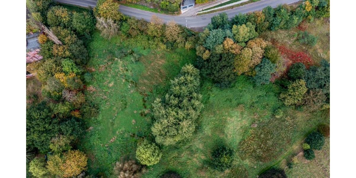 Großzügiges Grundstück in Weida zu verkaufen – ideal für Ihr Bauprojekt! Ohne Bauträgerbindung! - Grundstück Weida | Angebot:26387032