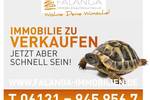 Falanga Immobilien -EINZIGARTIG!!! Großzügiges und sonniges Baugrundstück im Herzen von SchwabenheimSelz!