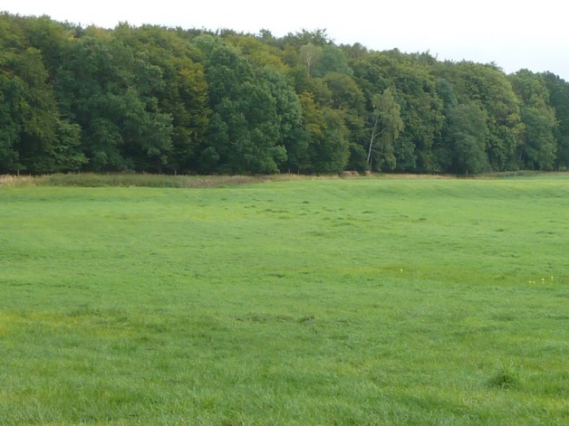 Alleinlage mit 100 qm Haus, Scheunen und 92 Hektar Land - Einfamilienhaus Uckerland | Angebot:19801660