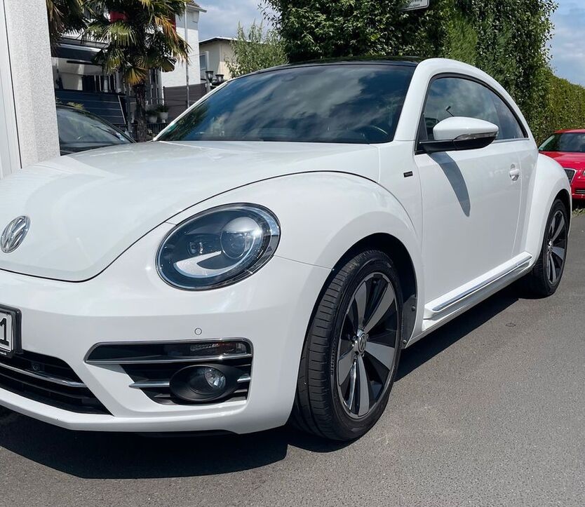 Beetle